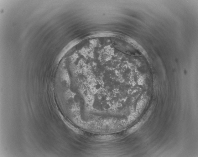 X0000078281425200611251407