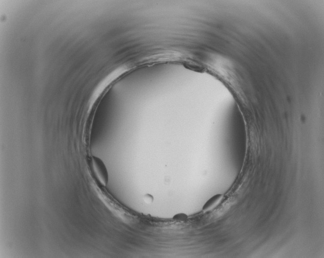 X0000078281426200611251407