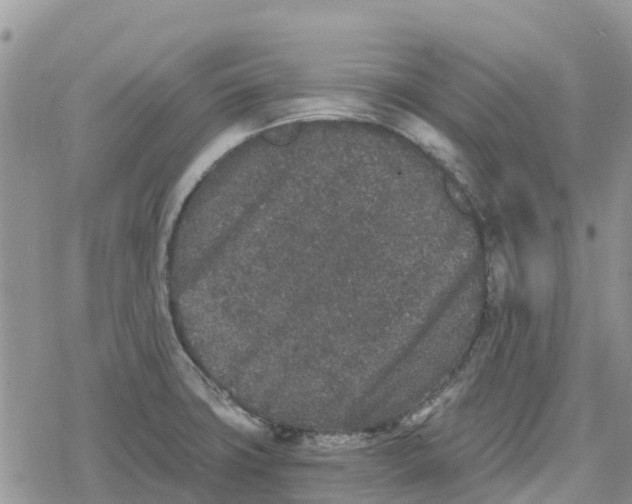 X0000078281427200611251407