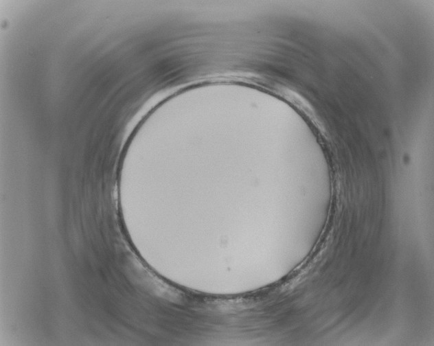 X0000078281428200611251407