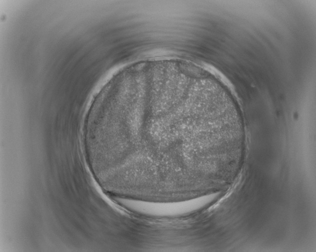 X0000078281429200611251407