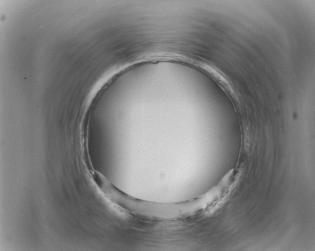 X0000078281430200611251407