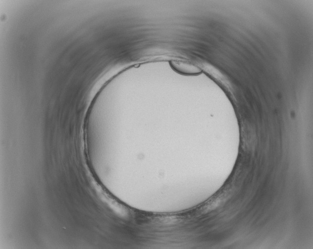 X0000078281431200611251407