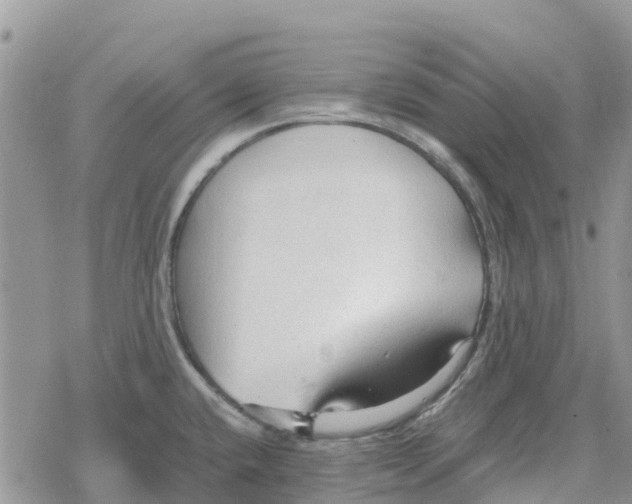 X0000078281432200611251407