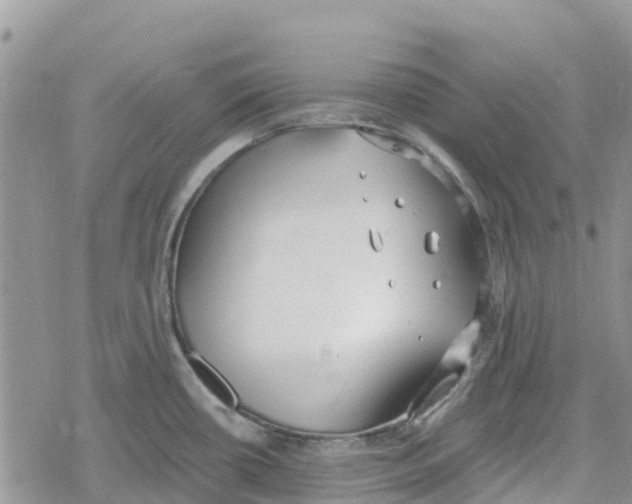 X0000078281434200611251407