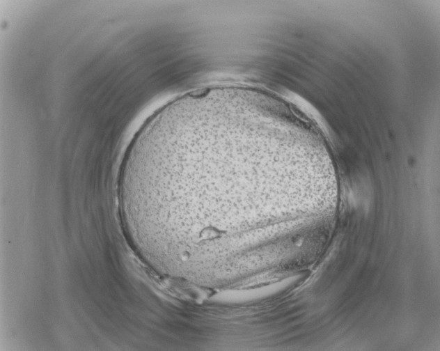 X0000078281435200611251407