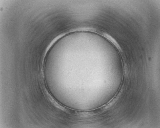 X0000078281436200611251407