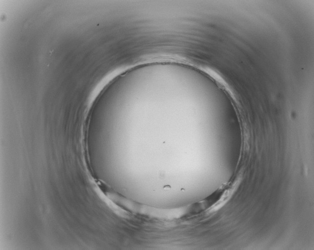 X0000078281438200611251407