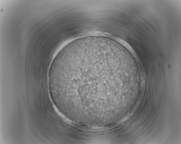 X0000078281439200611251407