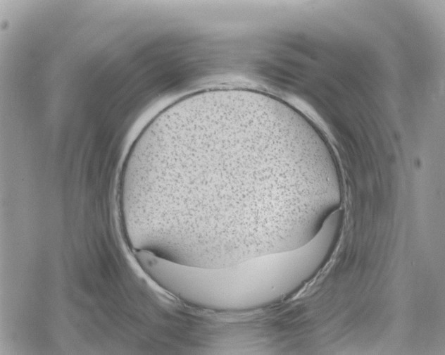 X0000078281440200611251407