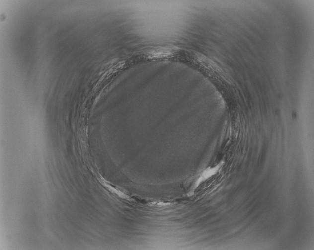 X0000078281441200611251406