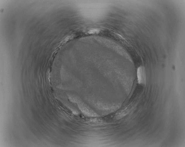 X0000078281443200611251406