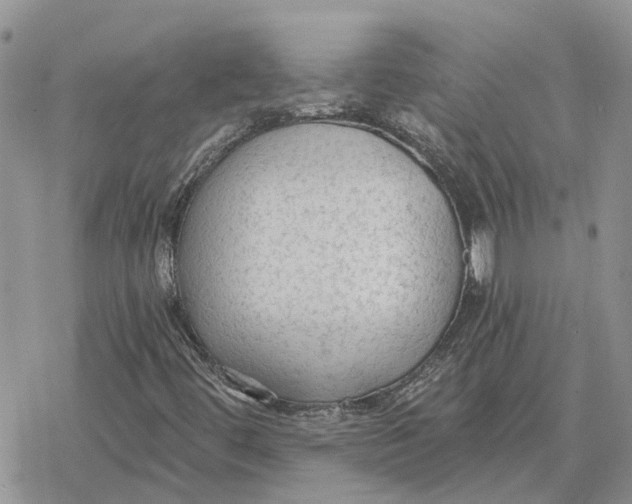 X0000078281444200611251406