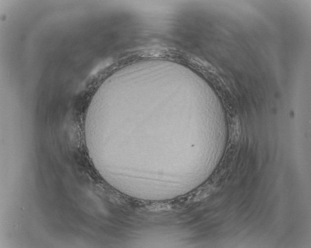 X0000078281446200611251406