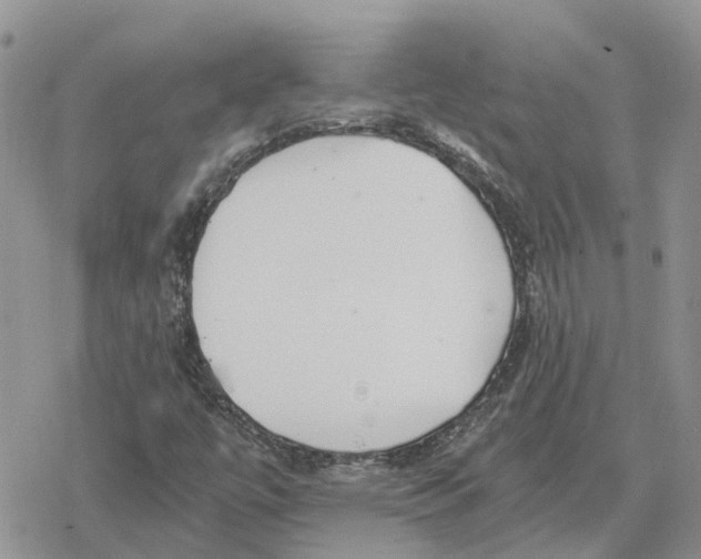 X0000078281447200611251406