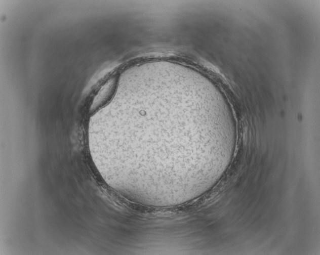 X0000078281448200611251406