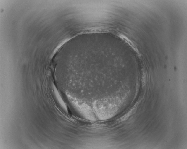 X0000078281449200611251406