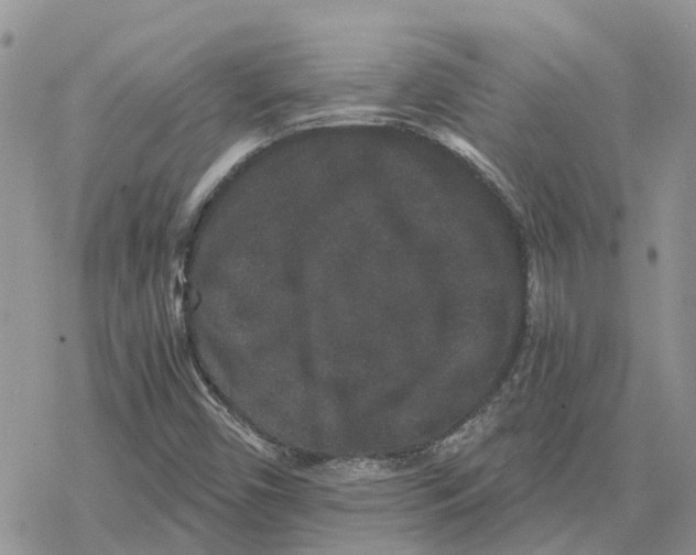 X0000078281450200611251406