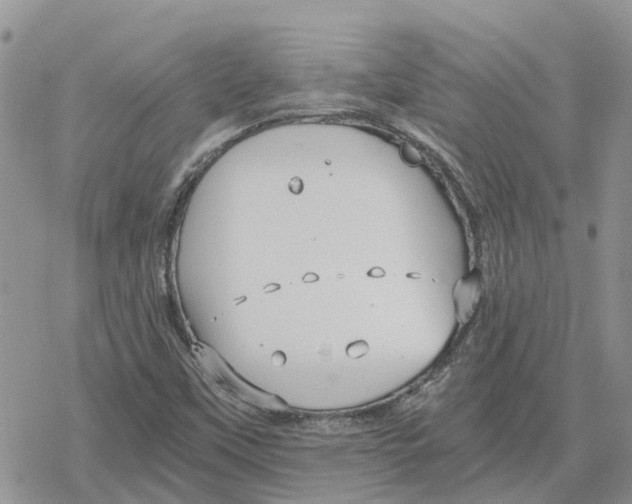 X0000078281451200611251406