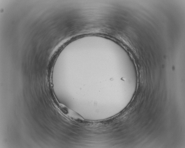 X0000078281452200611251406