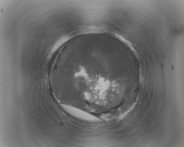 X0000078281453200611251406