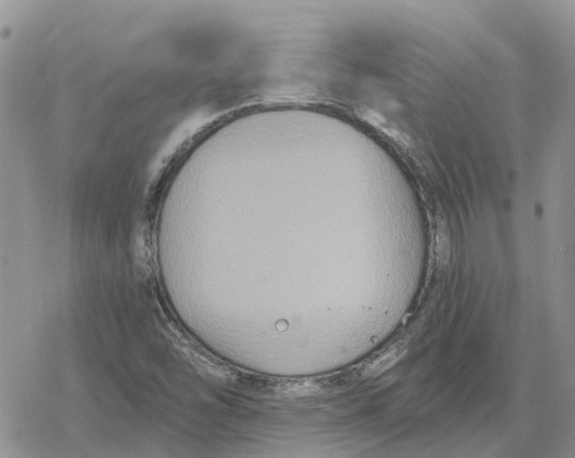 X0000078281454200611251406