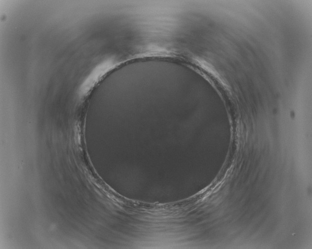 X0000078281455200611251406