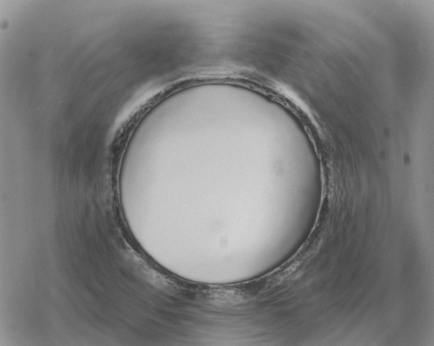 X0000078281456200611251406