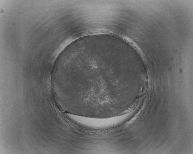 X0000078281457200611251406