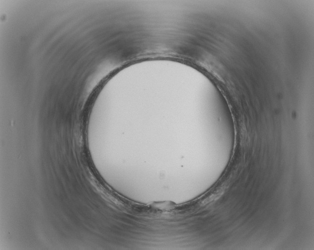 X0000078281458200611251406