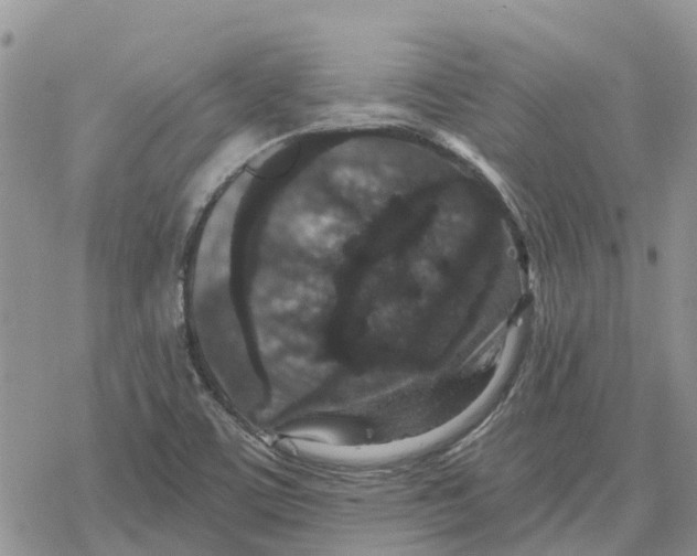 X0000078281459200611251406