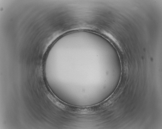 X0000078281460200611251406