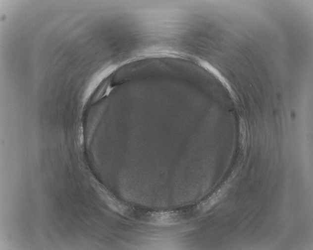 X0000078281461200611251406