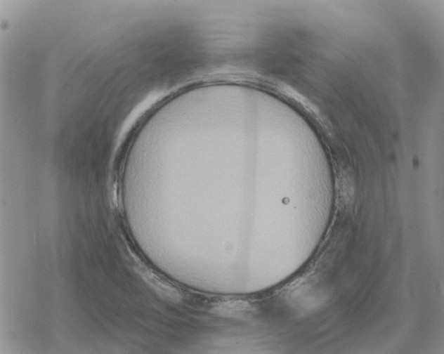 X0000078281462200611251406