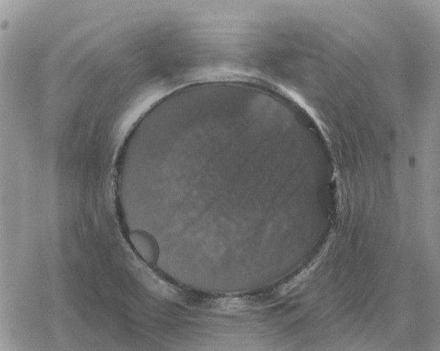 X0000078281463200611251406