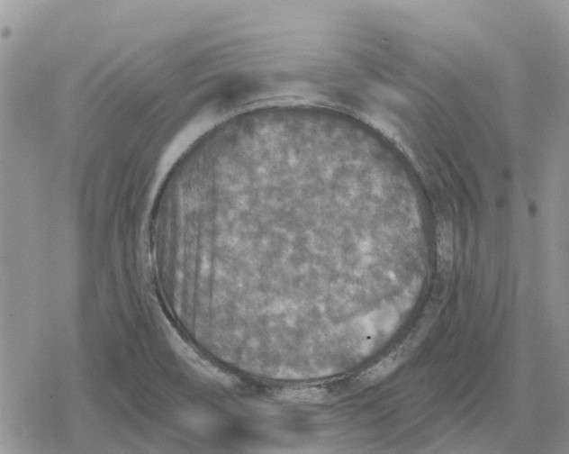 X0000078281466200611251406