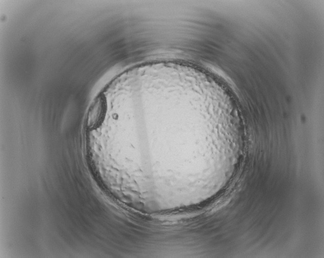 X0000078281467200611251406