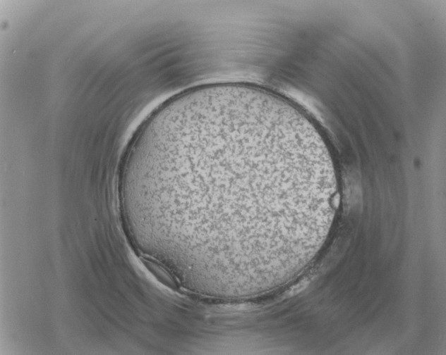 X0000078281468200611251406