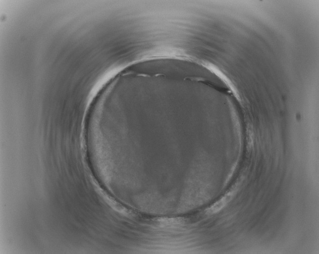 X0000078281469200611251406