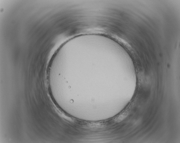 X0000078281470200611251406