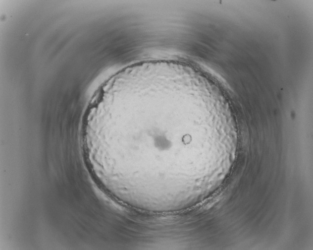 X0000078281471200611251406