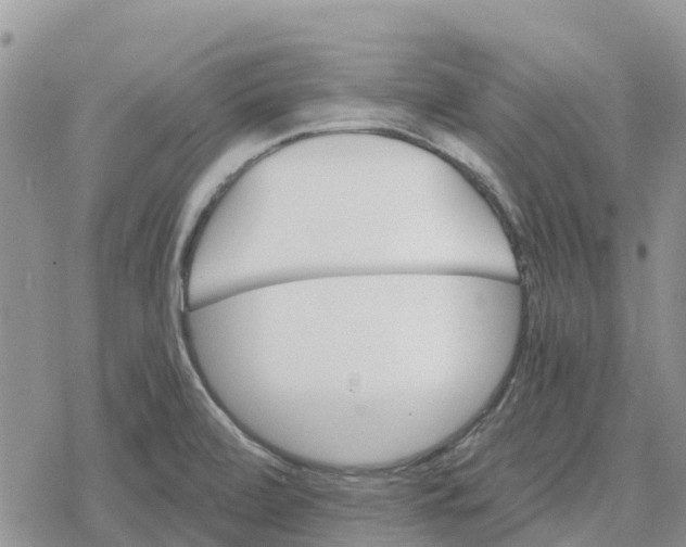 X0000078281472200611251406