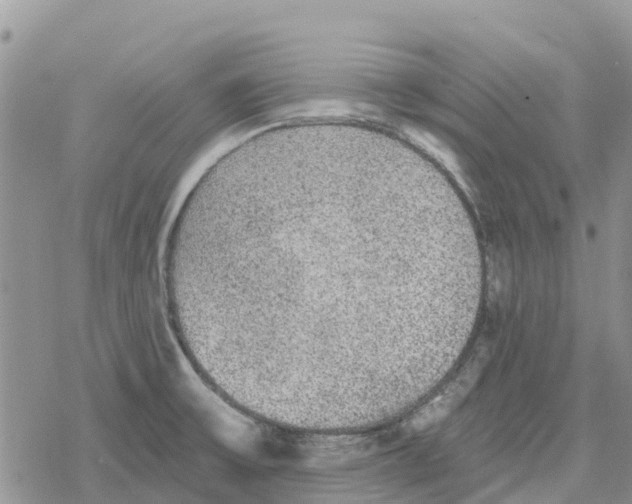 X0000078281475200611251406