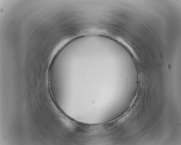 X0000078281477200611251406