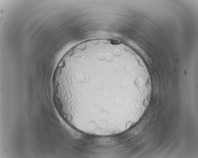 X0000078281479200611251406