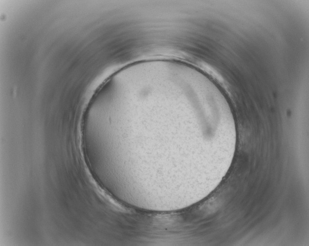 X0000078281480200611251406