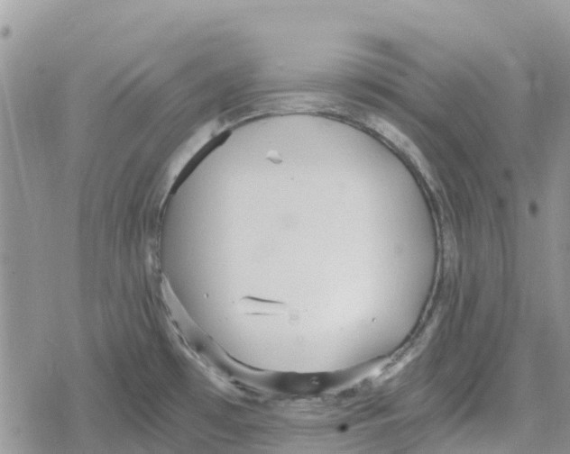 X0000078281481200611251406