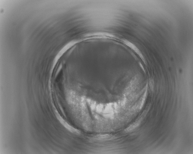 X0000078281482200611251406