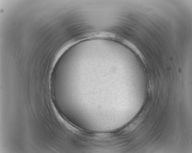 X0000078281483200611251406