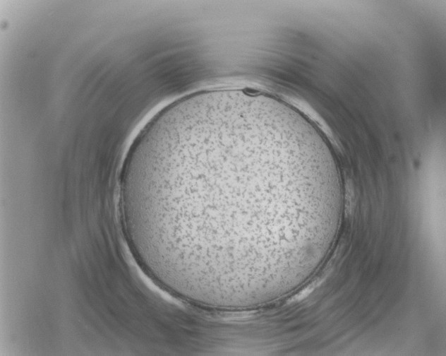 X0000078281484200611251406